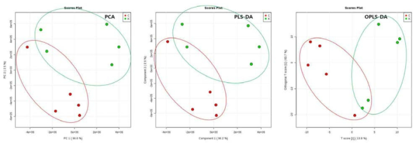 (GC-MS) Hexane 추출법 결과의 PCA, PLS-DA, OPLS-DA 플롯