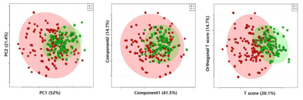 (GC-MS) 한국 쌀, 중국 쌀 판별을 위한 PCA, PLS-DA, OPLS-DA 플롯