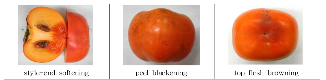 상온 25℃에서 PE 필름 두께에 의한 상감둥시의 장해 형태 Types of disorder of ‘Sanggamdungsi’ persimmon affected by PE film thickness at room temperature (25℃)
