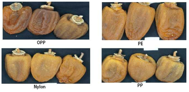 Appearance quality of dried persimmon by various types of packaging materials (Day 18)