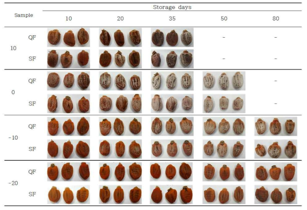 Captured images of dried persimmons in different temperature and freezing temperature
