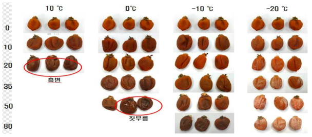 Change in apearance of semi-dried persimmons frozen quickly