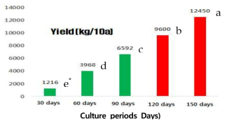 Kenaf yields change on culture periods * The same letters in each column are not significantly different at 5% level by DMRT
