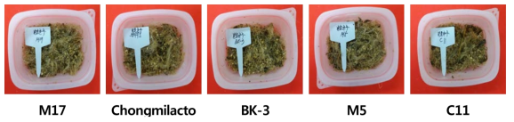 Exterior view of kenaf silage on the kinds of microbe fermentation