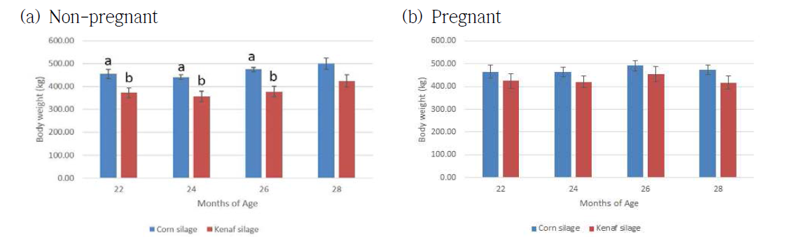 임신기간 및 분만 전ㆍ후 기간 중 비임신우 및 임신우의 체중 변화