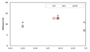 벼 생육 경과에 따른 NIR, RED, GREEN 밴드 반사율 변화
