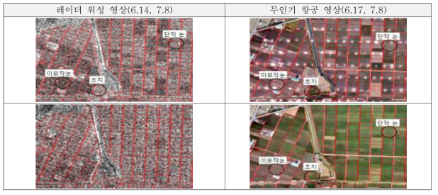 논에 대한 레이더 위성 영상 및 무인기 항공영상 전경 (‘16년 6월 14일, 7월 8일, 김제시)