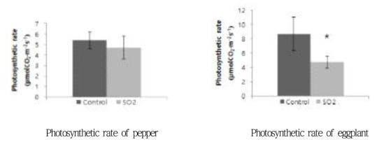 Comparison of physiological characteristics of pepper and eggplant leaves under 50ppb of SO2