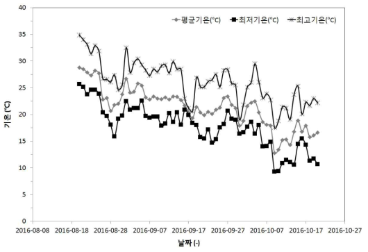 전라북도 군산시의 2016년도 벼 등숙기의 기온(기상자료개방포털, 2017)