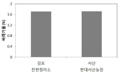 정백조건에 따른 싸라기율