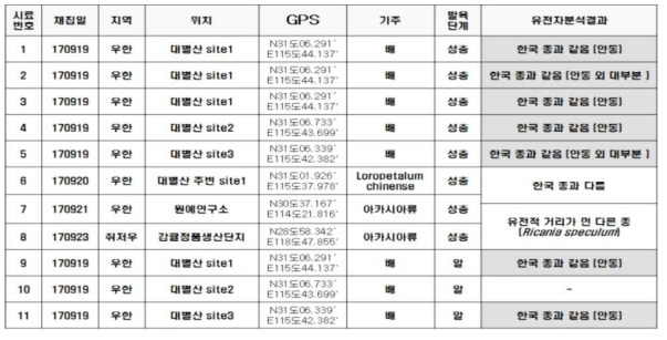 2017년 중국 발생 갈색날개매미충 채집 현황 및 유전자 분석 결과