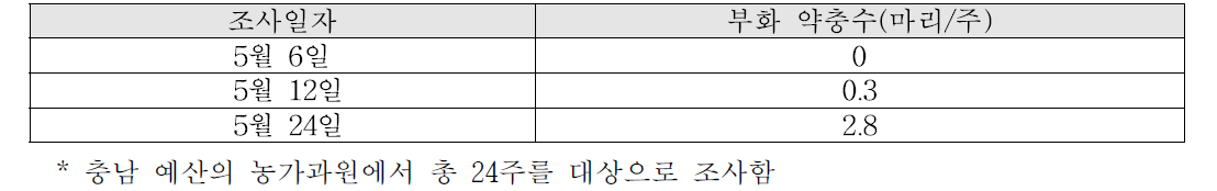 블루베리 과원에서의 최초 부화 시기