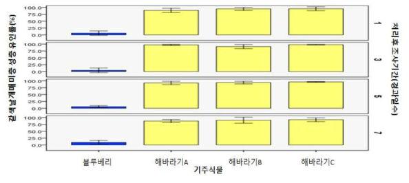 갈색날개매미충 성충 산란전기간 해바라기의 유인효과