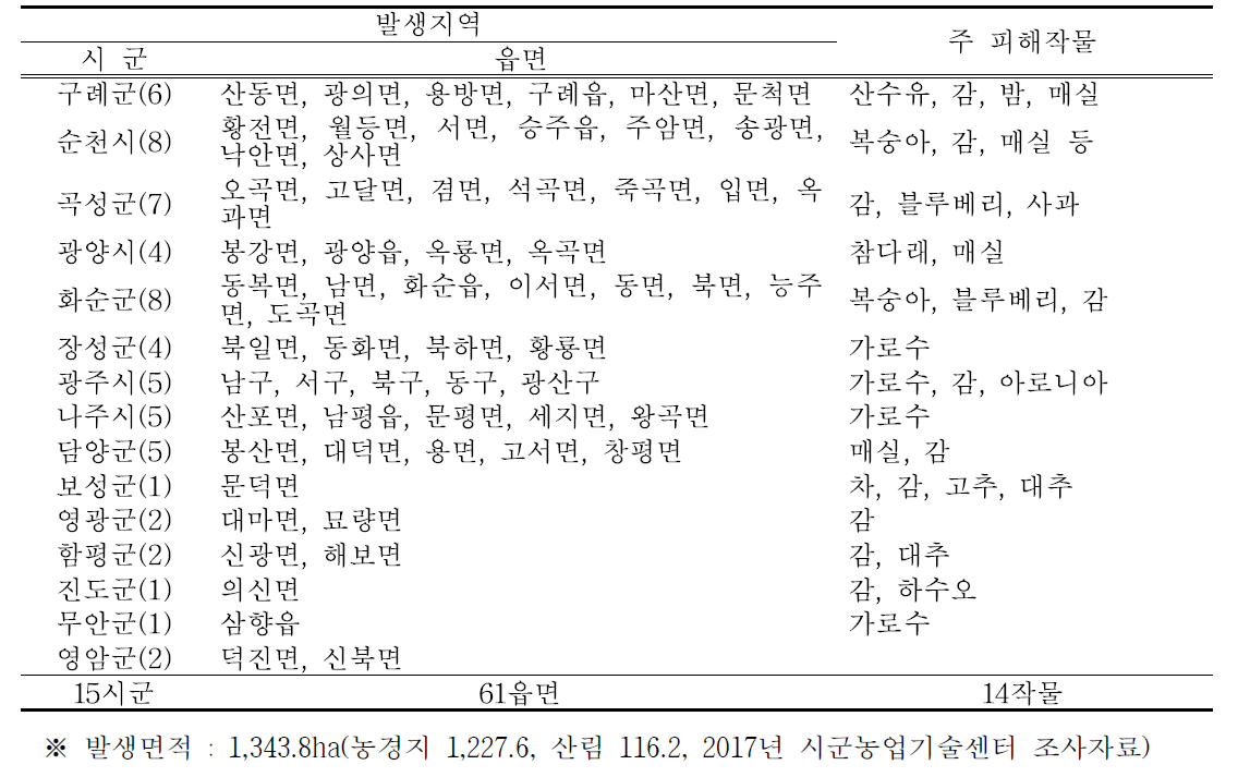 전남지역 갈색날개매미충 발생현황