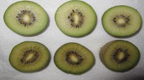 Photos of soften Kiwi fruit after 100μL∙L-1 ethylene treatment at 20℃ after 6days(upper, control; below, soften fruit)
