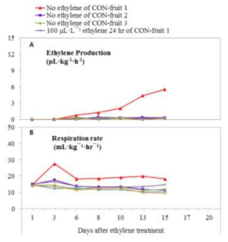 에틸렌 및 1-MCP 처리에 따른 에틸렌 및 호흡량 (20C, 2회 차 실험)