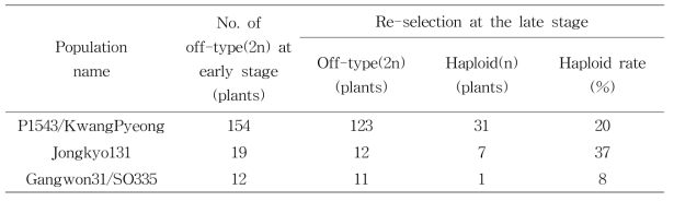 Selection of off-type plants from doubled haploid plants at the early stage and re-selection for confirmation at the late growth stage