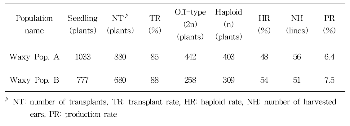 Line production rate and developed doubled haploid lines by waxy corn populations