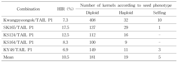 Haploid induction rate (HIR) of TAIL P1 by R1-nj gene expression