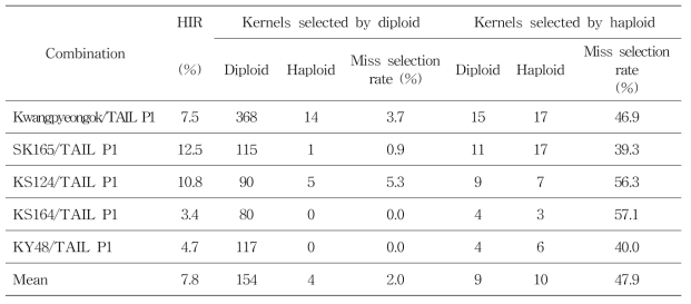 Haploid induction rate (HIR) of TAIL P1 by anthocyanin expression of first leaf sheath