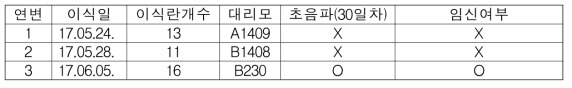 파킨슨 유전자 도입세포주(cFF1) 이용 SCNT란 수정란 이식 결과