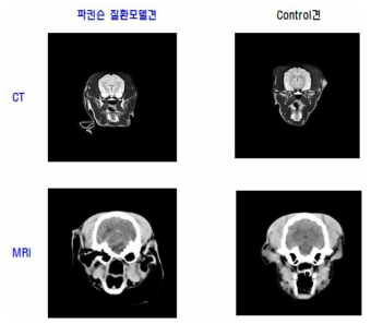 파킨슨 질환모델견 cFF 및 컨트롤견의 뇌 영상촬영 사진