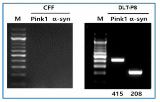 DLT-3.PS에서 total RNA를 이용한 파킨슨 복합 유전자 발현 검증