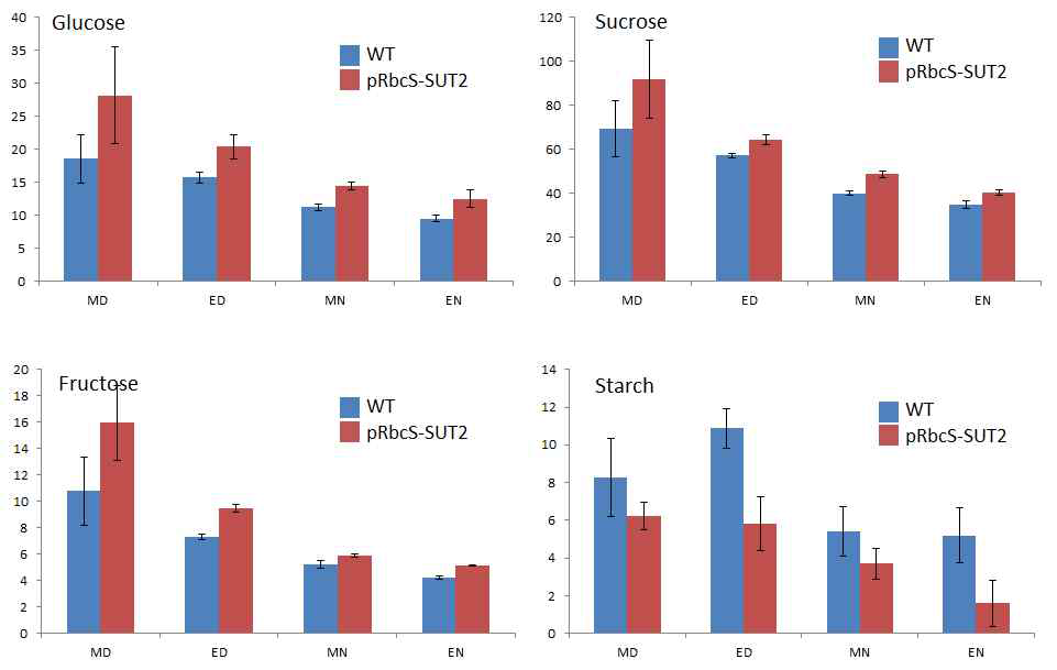 WT과 OsSUT2 과발현식물체(강한 증가)의 당대사체 분석