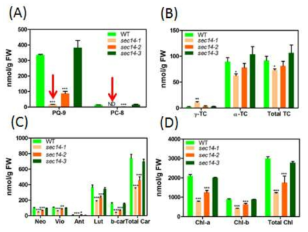 sec14 돌연변이된 애기장대의 prenyl lipid와 색소 분석. (a) PQ-9과 PC-8 분석. sec14-1에서 가장 낮으며 PC-8은 검출되지 않았음 (b) 토코페롤 분석. PQ-9 만큼 줄어들지는 않았으나 전체 토코페롤 양은 줄어듦. (c) 카로티노이드 분석. 모든 카로티노이드가 토코페롤과 유사하게 줄어듦. (d) 엽록소 분석. 앞의 양상과 같이 줄어들었음