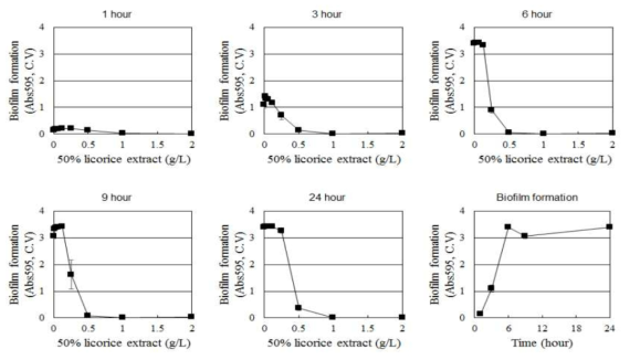 다양한 농도의 감초 추출물 노출 시간에 따른 S. mutans 의 바이오필름 형성 변화