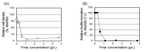 감초 추출 분말 (분무 건조, Dextrin 50%)이 S. mutans 생장 (A) 및 바이오필름 형성 (B)에 미치는 영향