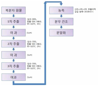 보조 혼합제(복분자) 열수 추출 제조 공정도 – 최종 확립