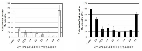 감초 50% 주정 추출물과 복분자 열수 추출물의 혼합물의 S. mutans 생장 억제 및 바이오필름 억제 효능