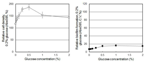 Glucose 농도에 따른 S. mutans 의 생장 및 바이오필름 형성 변화