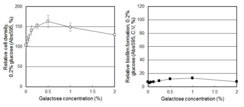 Galactose 농도에 따른 S. mutans 의 생장 및 바이오필름 형성 변화