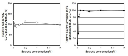 Sucrose 농도에 따른 S. mutans 의 생장 및 바이오필름 형성 변화