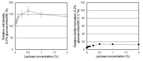 Lactose 농도에 따른 S. mutans 의 생장 및 바이오필름 형성 변화