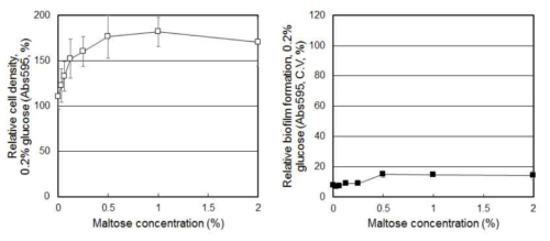 Maltose 농도에 따른 S. mutans 의 생장 및 바이오필름 형성 변화