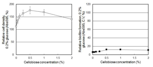 Cellobiose 농도에 따른 S. mutans 의 생장 및 바이오필름 형성 변화