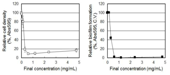 1% sucrose 가 포함된 배지에서 감초 추출물의 농도에 따른 S. mutans 의 생장 및 바이오필름 형성 변화