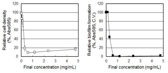 감초 50% 에탄올 추출물의 S. mutans 생장 및 바이오필름 억제
