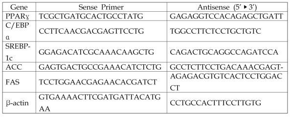 Sequence of primers used in quantitative real-time PCR