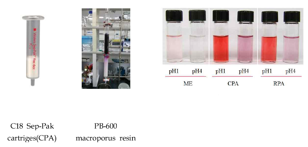 Observation of color change of mulberry extract and purified mulberry anthocyanin by different purification procedure. CPA (using C18 sep-pak cartridges) and RPA (using open column chromatography filled with PB-600 macroporous resins) under different pH conditions (Left, pH 1.0; Right pH 4.5)