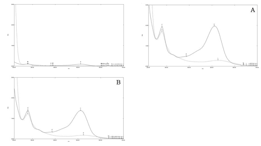 Spectral characteristics of mulberry extract and purified mulberry anthocyanin by different purification procedures, CPA (A, using C18 sep-pak cartridges) under different pH conditions and RPA (B, using open column chromatography filled with PB-600 macroporous resins) under different pH conditions (full line, pH 1.0; dotted line, pH 4.5)