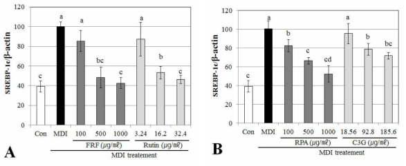 SREBP-1c gene expression effects of flavonoid rich fraction (FRP) and anthocyani rich fraction (RAP) on adipocyte differentiation in 3T3-L1 cells confirmed RT-PCR Differentiation of confluent 3T3-L1 cells was initiated in DMEM containing differentiating culture mixture [MDI treatment : 0.5 mM 3-isobutyl-1-methylxanthine, 1μM dexamethasone and 1 μg/㎖ insulin]. Total RNA was extracted and cDNA was prepared from pre-adipocyte cell treated by FRP (A) and RPA (B). Equivalent amounts of cDNA were amplified using primers specific for SREBP-1c and β-actin. Each value is expressed as the mean±SD of three independent expriments. Values with the same superscript letters are not significantly different from each other at p < 0.05