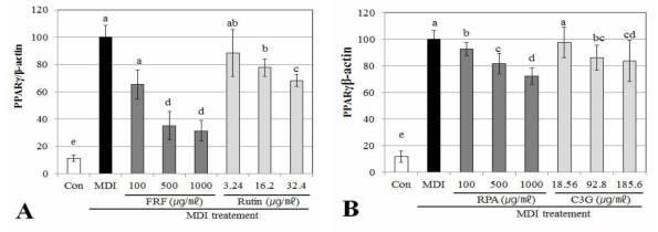 PPAR-γ gene expression effects of flavonoid rich fraction (FRF) and anthocyani rich fraction (RPA) on adipocyte differentiation in 3T3-L1 cells confirmed RT-PCR Differentiation of confluent 3T3-L1 cells was initiated in DMEM containing differentiating culture mixture [MDI treatment : 0.5 mM 3-isobutyl-1-methylxanthine, 1μM dexamethasone and 1 μg/㎖ insulin]. Total RNA was extracted and cDNA was prepared from pre-adipocyte cell treated by FRP (A) and RPA (B). Equivalent amounts of cDNA were amplified using primers specific for PPAR-γ and β-actin. Each value is expressed as the mean±SD of three independent expriments. Values with the same superscript letters are not significantly different from each other at p < 0.05