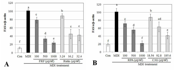 Fatty acid synthase gene expression effects of flavonoid rich fraction (FRF) and anthocyani rich fraction (RPA) on adipocyte differentiation in 3T3-L1 cells confirmed RT-PCR Differentiation of confluent 3T3-L1 cells was initiated in DMEM containing differentiating culture mixture [MDI treatment : 0.5 mM 3-isobutyl-1-methylxanthine, 1μM dexamethasone and 1 μg/㎖ insulin]. Total RNA was extracted and cDNA was prepared from pre-adipocyte cell treated by FRP (A) and RPA (B). Equivalent amounts of cDNA were amplified using primers specific for FAS and β-actin. Each value is expressed as the mean±SD of three independent expriments. Values with the same superscript letters are not significantly different from each other at p < 0.05