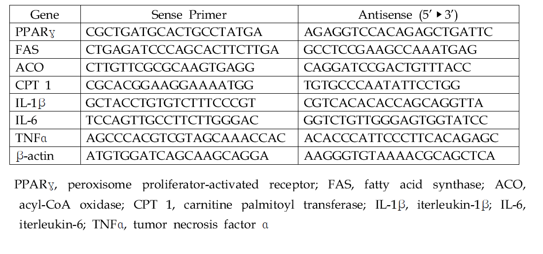 Sequence of primers used in quantitative real-time PCR (Animal Model)