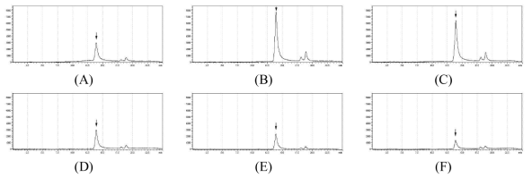 HPLC chromatograms of quercetin release on time course manner in FWM. (A) - (C); FWM micropaticle, (D) - (F); flavonoid rich fraction of mulberry leaf (MFRF); ; released amount of quercetin for directly (0 hours) (A and D), 12 hours (B and E), 24 hours (C and F)