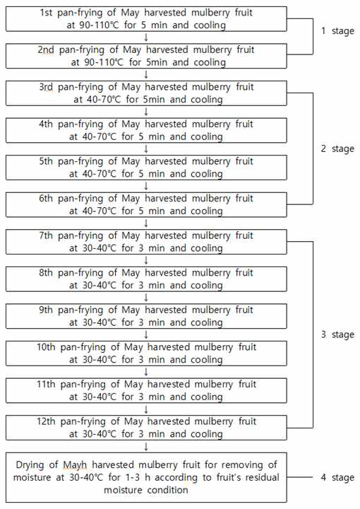 Roasting procedure of May harvested mulberry fruit